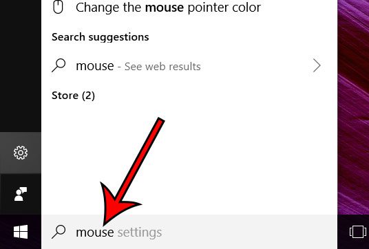 type mouse into the search bar