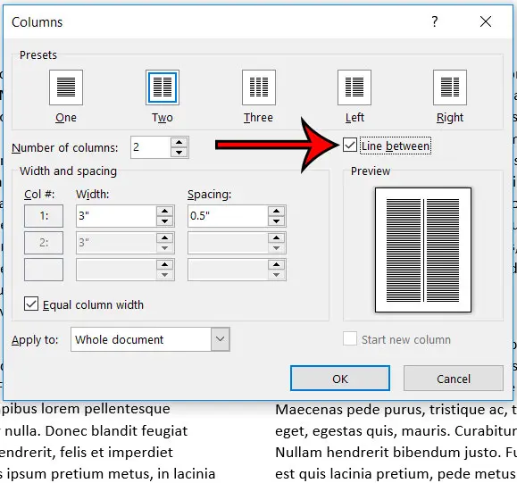 how to add column dividers in word 365