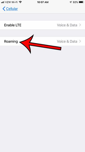 select the roaming option