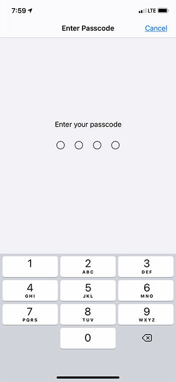 enter your device passcode