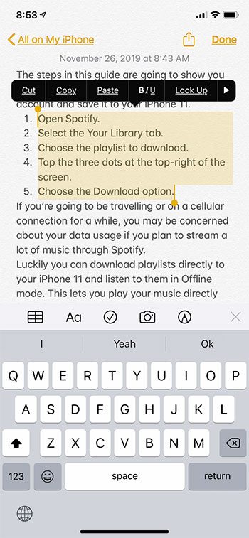 how to copy part of a note on an iPhone