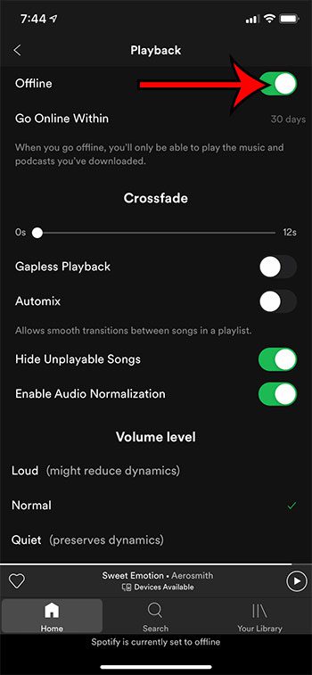 how to go to offline mode in Spotify on an iPhone 11