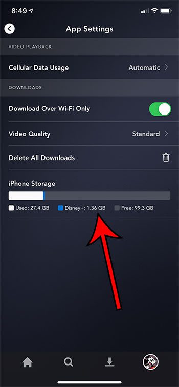 how to see storage usage by the Disney + app on an iPhone