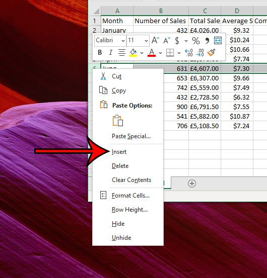 how to add a single row in Excel 2016