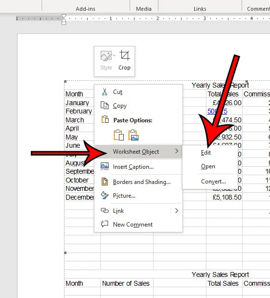 how to edit an Excel object in a Word document