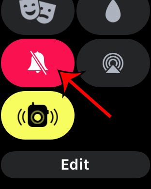 How to Put Apple Watch on Silent - 67