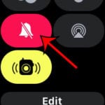 how to put Apple Watch on silent mode