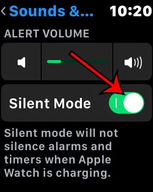 How to Put Apple Watch on Silent - 57