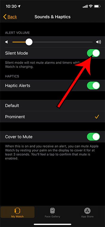 put the Apple Watch on silent from an iPhone