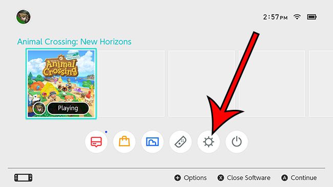 open Nintendo Switch settings