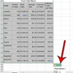 how to convert a Microsoft Word table to Excel
