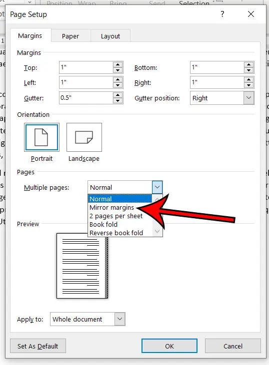 how to use mirror margins in Microsoft Word