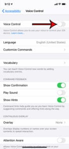 how to disable voice control on an iPhone 11