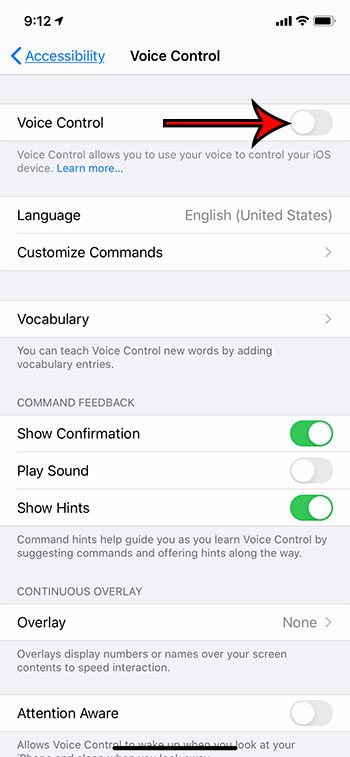 how to turn off voice control on an iPhone 11