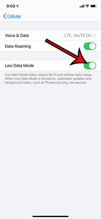 cómo habilitar el modo de datos bajos en un iPhone 11