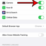 give Chrome camera access on iPhone