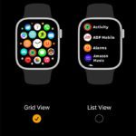 how to change app view on the Apple Watch
