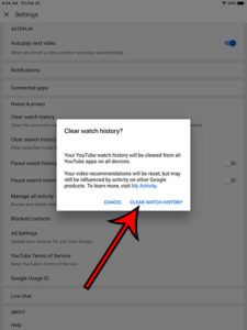 how to clear YouTube iPad history