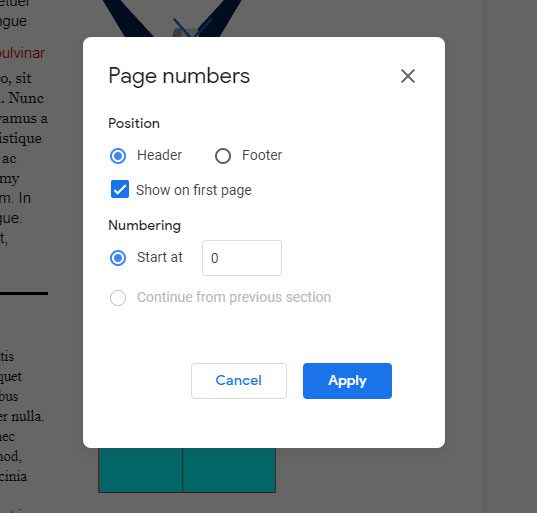 how to add custom page numbers in Google Docs