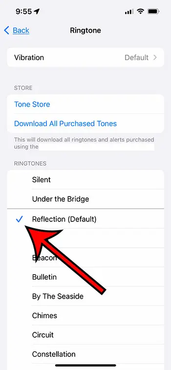 how to change the ringtone on an iPhone 13