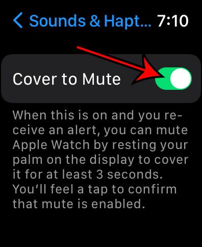 how to turn Cover to Mute on or off on an Apple Watch