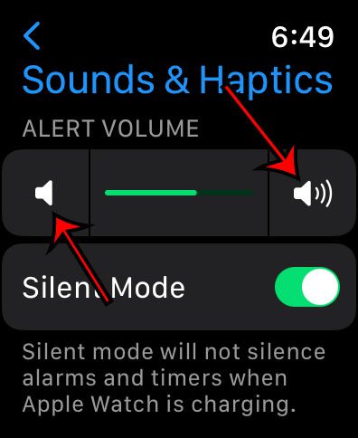 turn the Apple Watch volume up or down