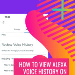 How to View Alexa Voice History on iPhone