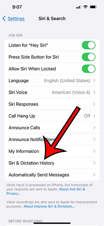 choose Siri and Dictation History