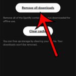 how to delete Spotify downloads on iPhone