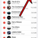 how to remove downloaded music from iPhone 13
