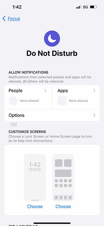 iPhone 13 Do Not Disturb Settings menu