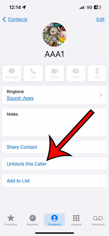 cómo desbloquear un contacto de iPhone 13