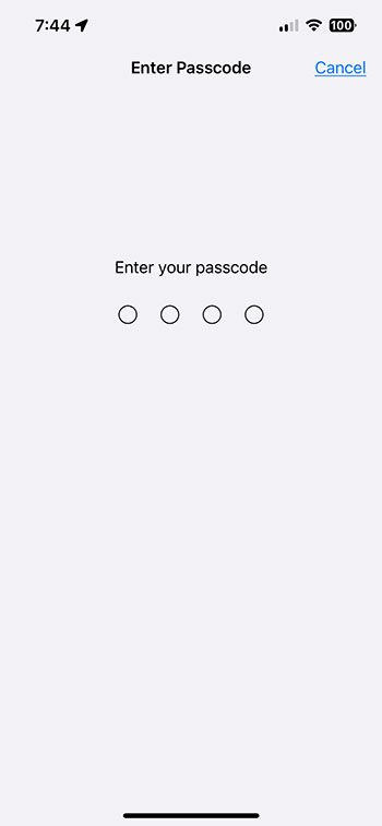 enter your IPhone passcode