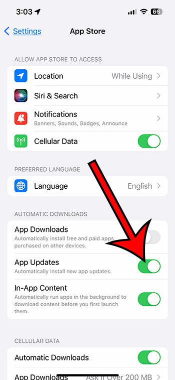 How to automatically update apps on iPhone 13