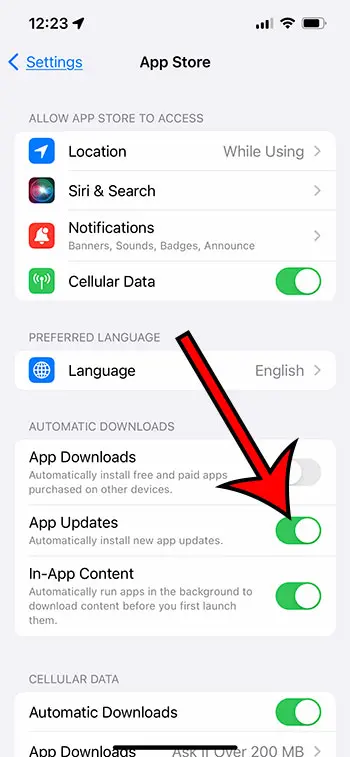 iPhone automatic App Update setting