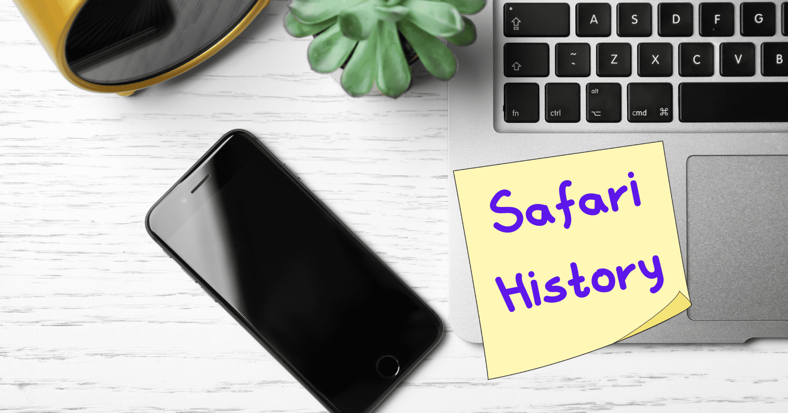 safari history iphone