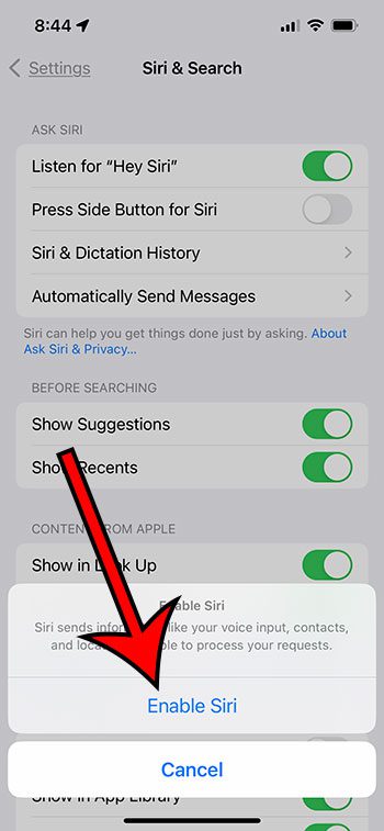 toque el botón Habilitar Siri