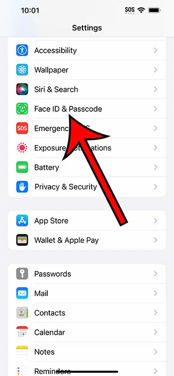 select Face ID and Passcode