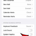 how to turn off System Haptics on iPhone 14